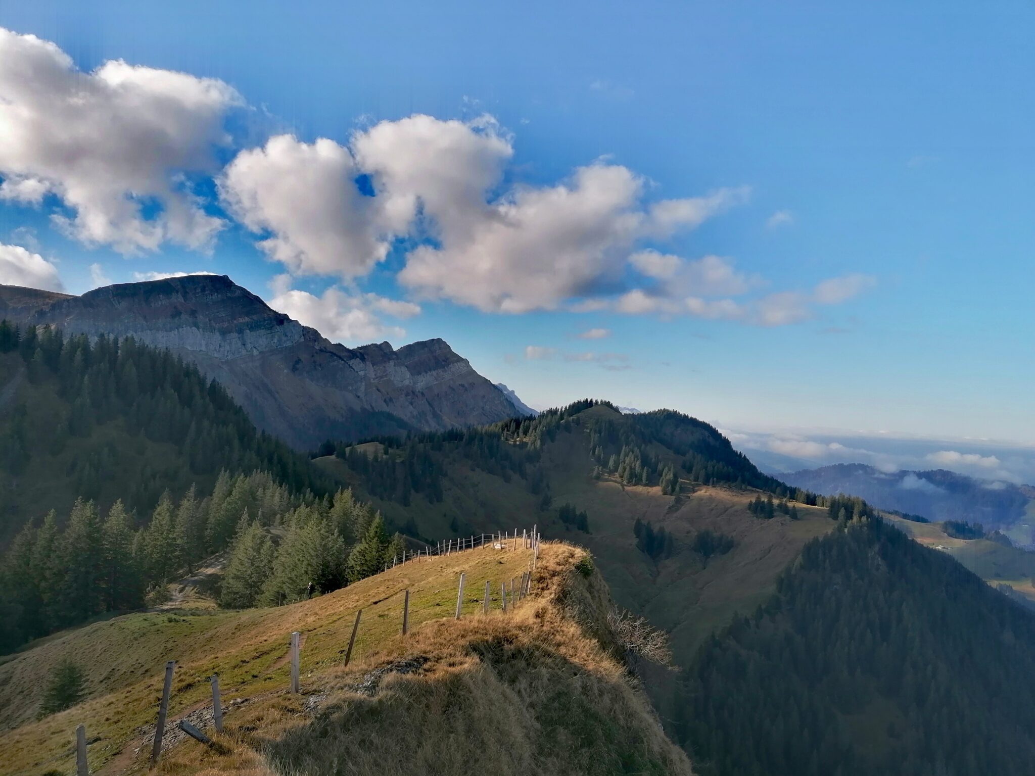 Wunderschöne Traik-Aufstiege durch Wald und Wiesen. Spektakuläre Sicht auf Pilatuskette & Mittelland. Flowtrails pur. Entdeckung neuer Peaks im Eigenthal. Entdeckung wenig bekannter Singletrails im Gebiet Pfifferswald.