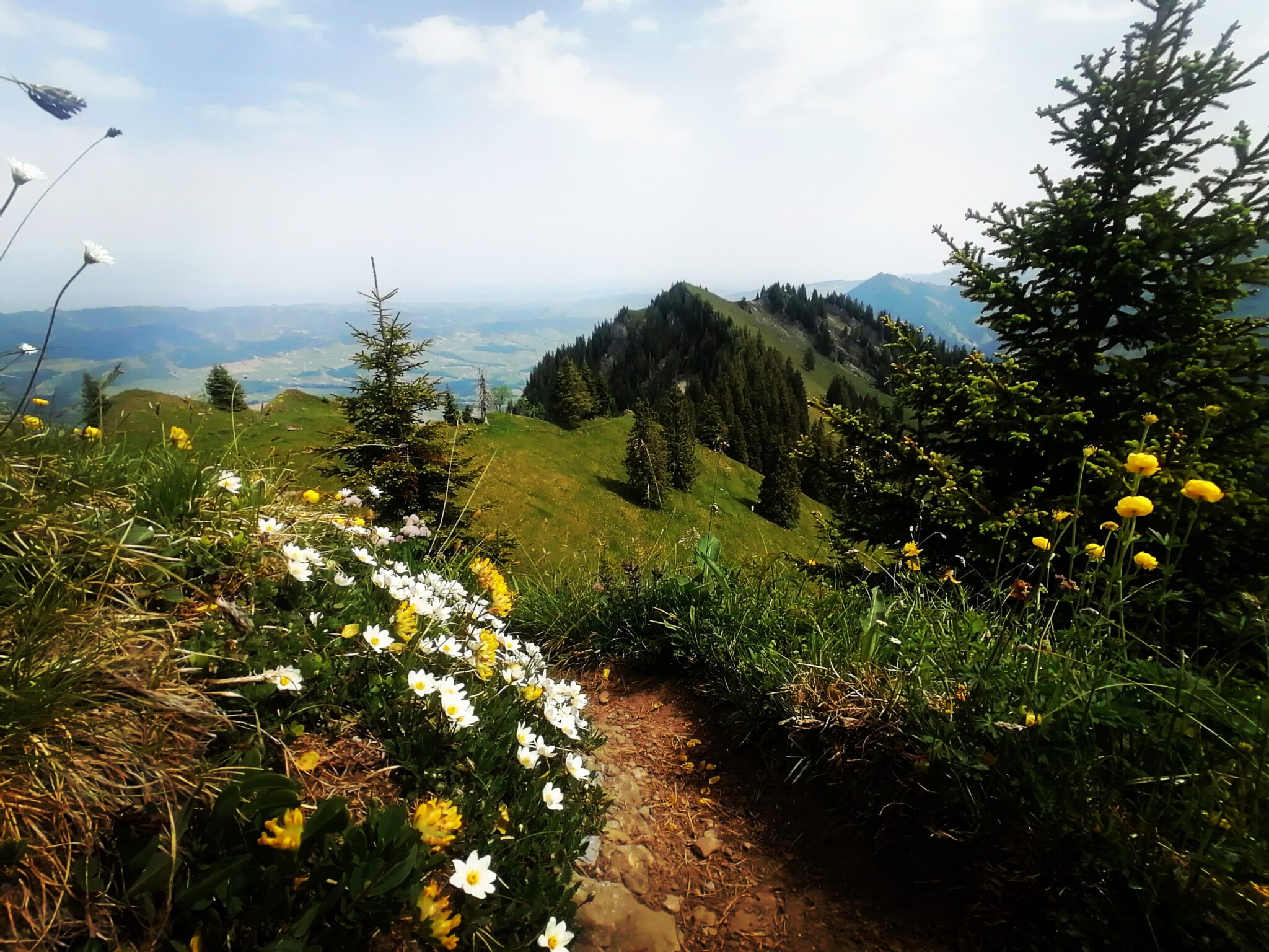 Interessante Trailtour auf den eindrücklichen Bleichengrat und Hilferenpass. Wundervolle Wiesen- und Waldtrails. Grandiose Aussicht auf die gesamte Alpenkette.