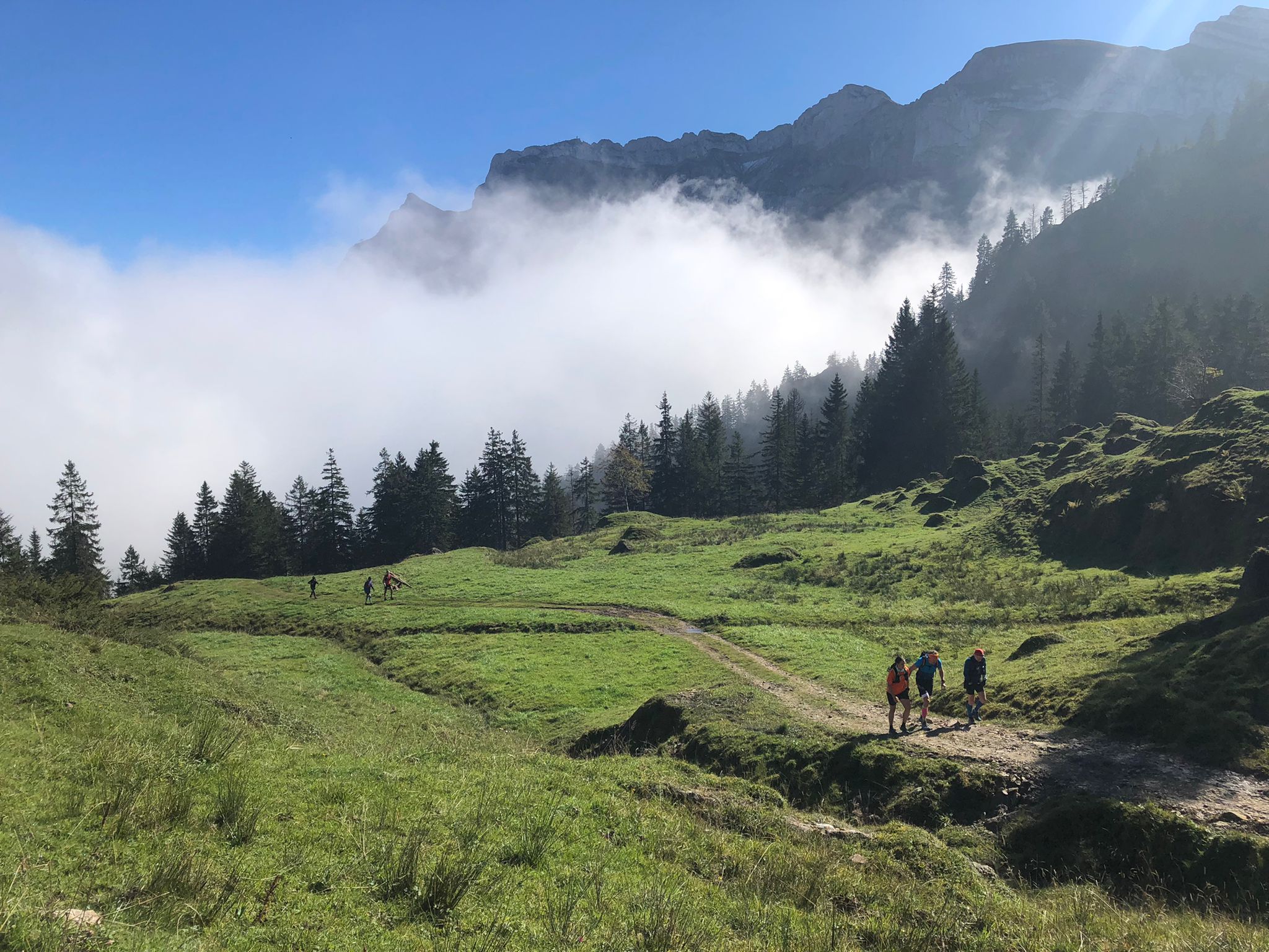 Entlang des Rotbaches geht’s empor zum Aussichtspunkt Chraigütsch mit seinen abenteuerlichen Schaukeln. Weiter über malerische Trails und Stege zum Höchberg und Oberlauelen. Meistens durch schlammige Trails. Flowiger Downhill zur Alpwirtschaft Unterlauelen. Weiter entlang des Pfades des Renggbaches in Richtung Holderchäppeli.