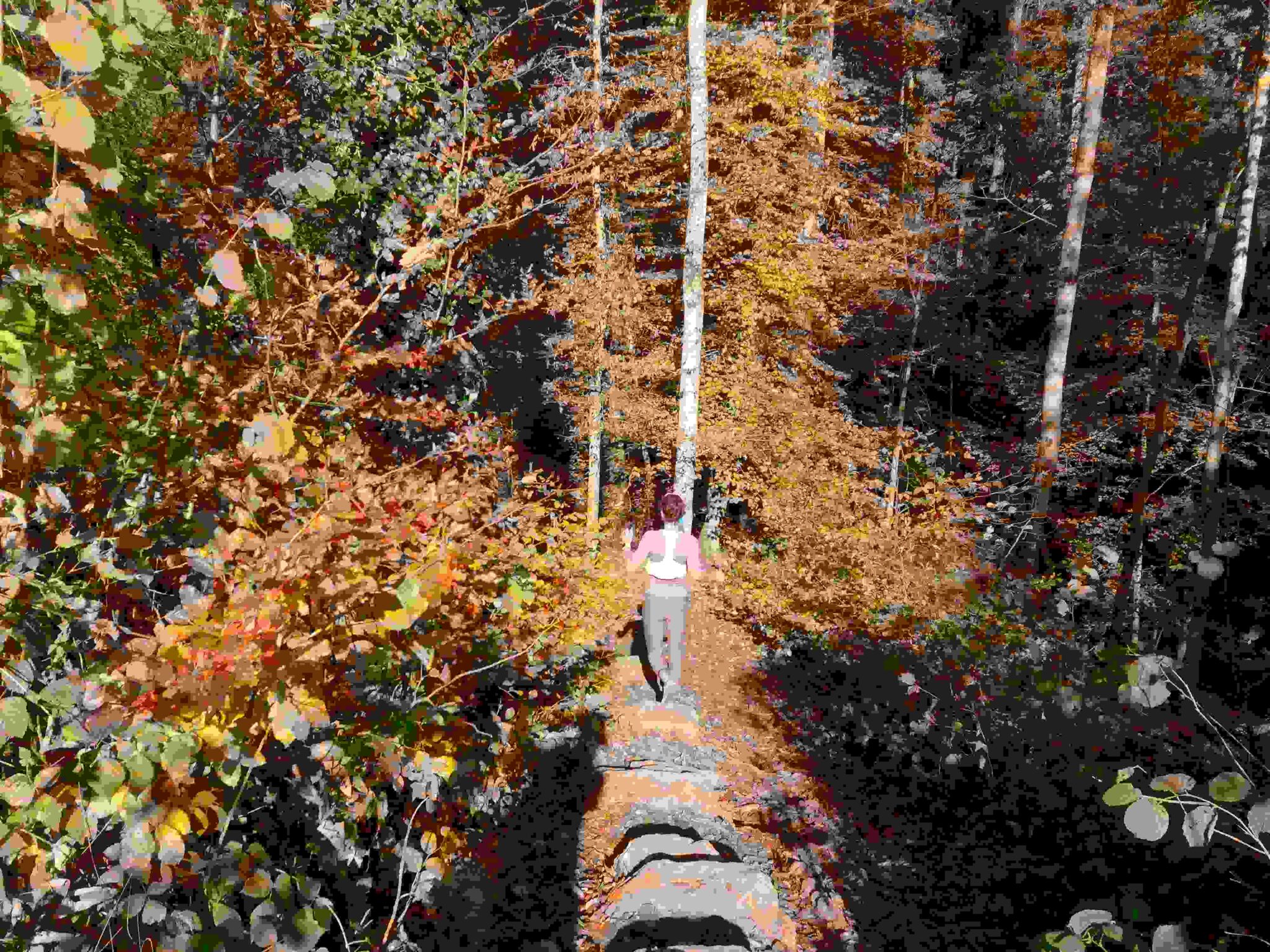 Wunderschöne Herbsttour durchs Gitzitobel mit seinen Brücken am Bach. Teils asphaltierte Wege, meistens aber wunderschöne Singletrails. Atemberaubende Trails im Tobel des Schlosses Heidegg.