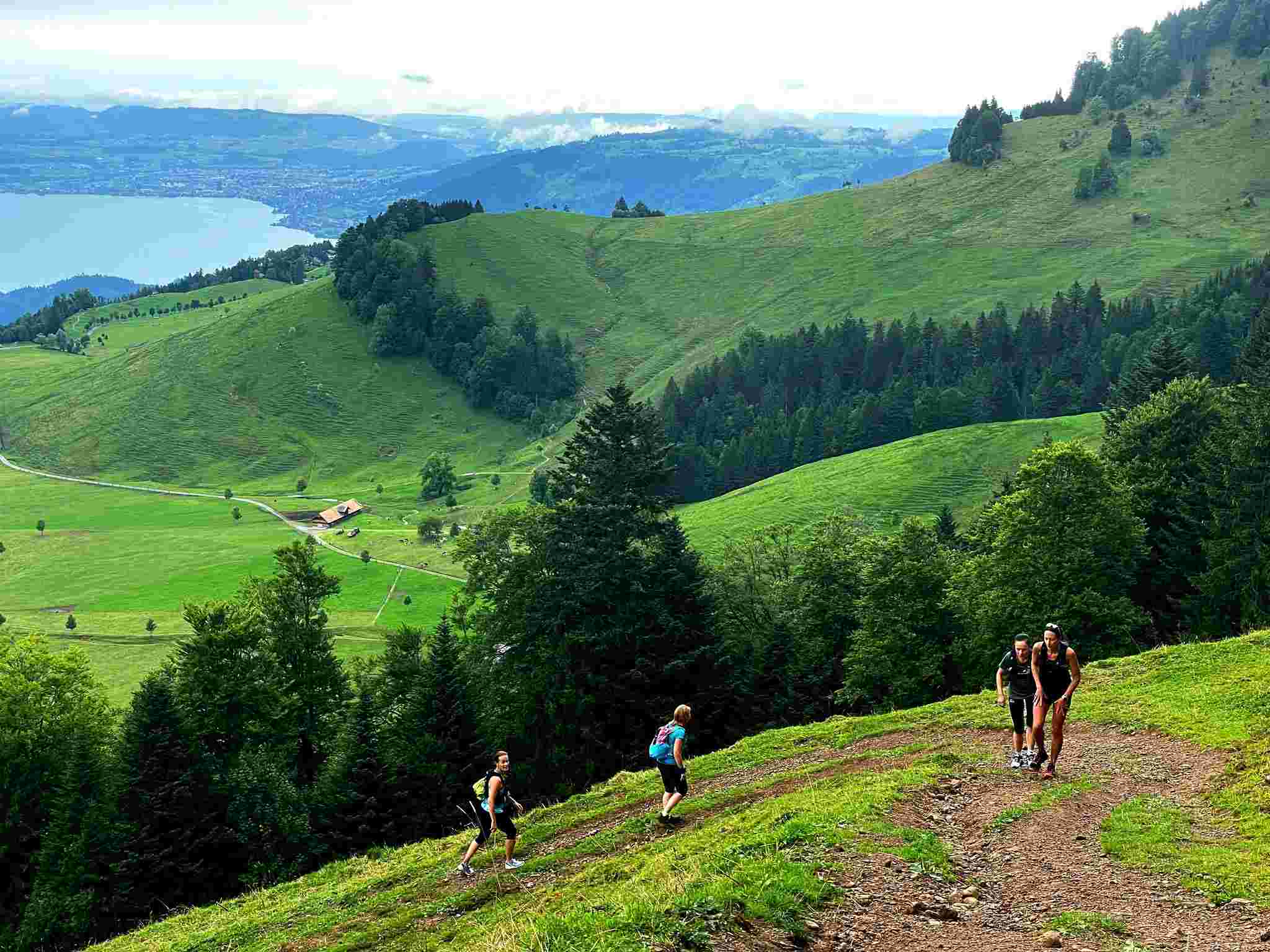 Aufstieg über mit Halt bei der eindrucksvollen Ruine Gesslerburg. Trailrunning auf zum Teil unbekannten Trails im Gebiet Seebodenalp. Wunderschöne Aussicht auf das Küssnachter Becken und die Weiher auf der Seeboden. Man passiert idyllische Alpwirtschaften.